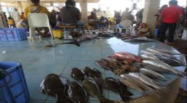 
                     ارتفاع أسعار الاسماك في العاصمة المؤقتة عدن
