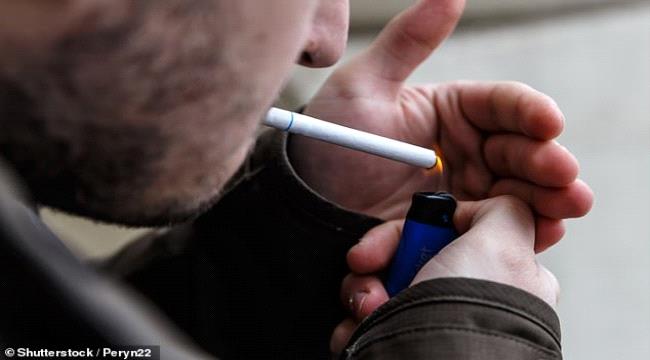 نتيجة بحث الصور عن فحص جديد للمدخنين قد يخفض معدلات الوفيات الناجمة عن سرطان الرئة