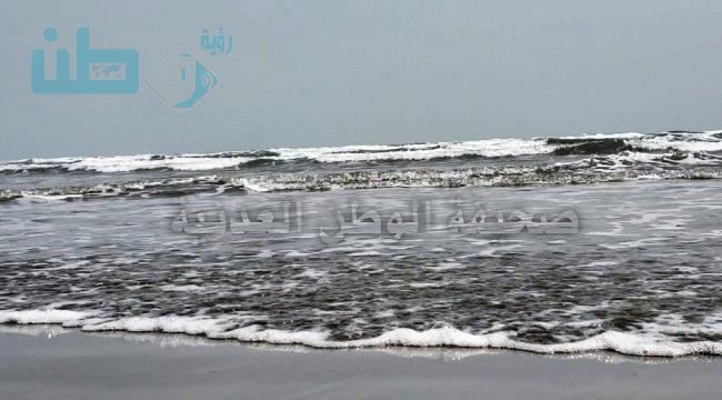 
                     هيجان وارتفاع الأمواج في ساحل أبين بالعاصمة المؤقتة عدن - شاهد فيديو