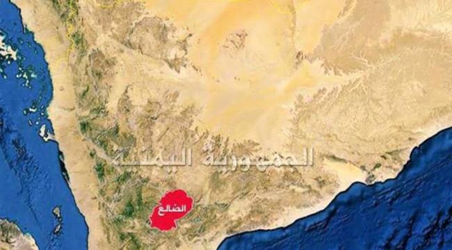 
                     المنظمات الدولية تستأنف عملها في محافظة الضالع 
