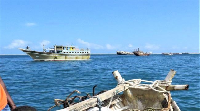 
                      الثروة السمكية: إيران مستمرة في انتهاكاتها والصيد غير المشروع في المياه الإقليمية اليمنية