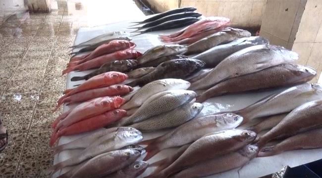 
                     كساد في سوق السمك بعدن إثر شائعات تسمم السمك إثر تغير لون البحر 